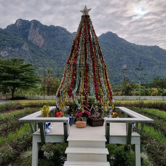 Family Trip ที่หุบป่าตาด Bike Camp