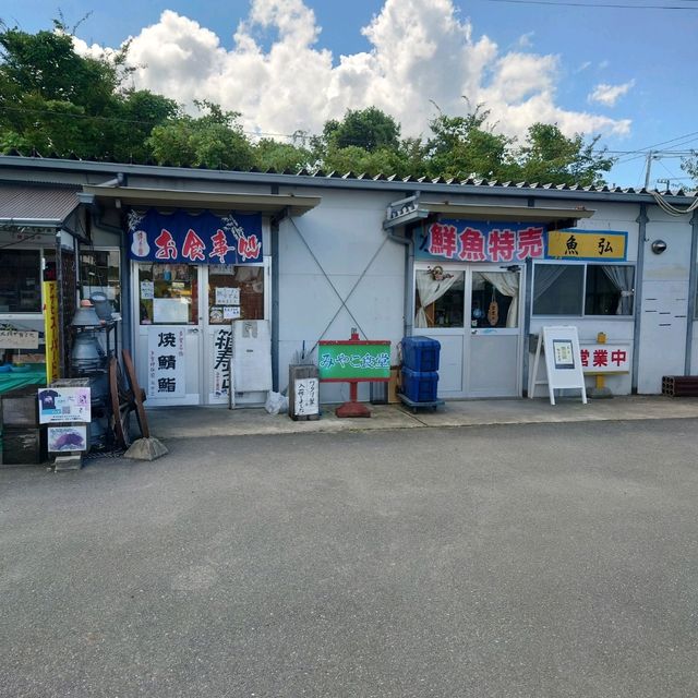 愛知旅行！「多賀の里」「魚弘」