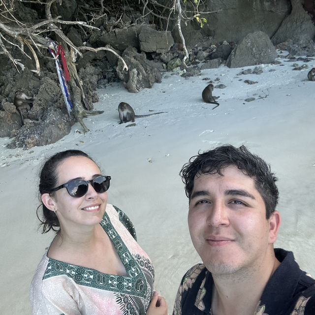 Monkey 🙈 Bay