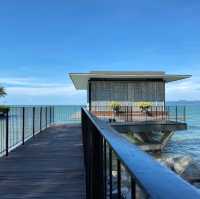 Cove55