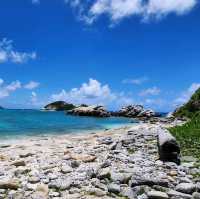 座間味島體驗浮潛樂趣