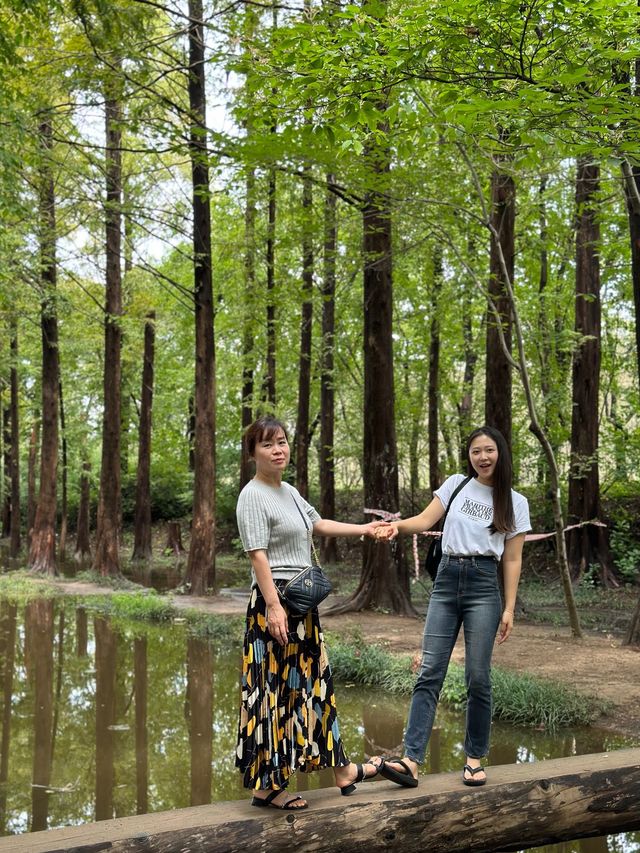 부모님과 함께 가기 좋은 경주, 경북천년숲정원🌱🌲