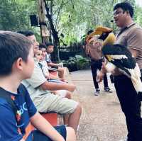 彩羽翩翩！暢遊布吉百鳥園🐦🌿🌈