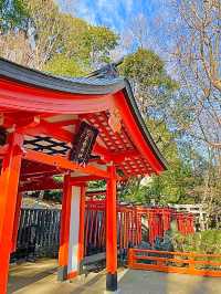 【東京都/根津神社】千本鳥居で人気の神社