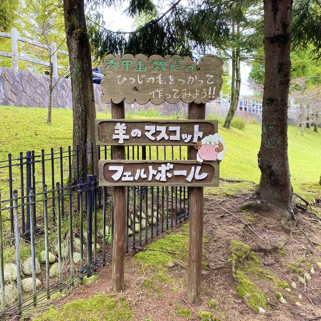 シープドッグショーの牧羊犬ソフィちゃんの働きぶりがすごすぎる六甲山牧場の【南エリア】