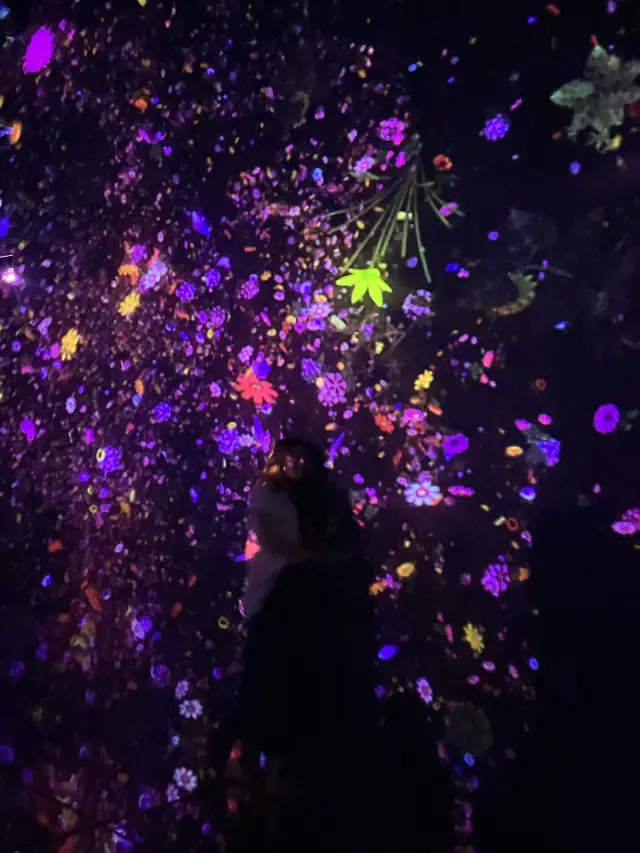 チームラボ 豊洲