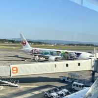 【鹿児島】無事に着陸出来るのか⁉︎ドキドキフライト✈️