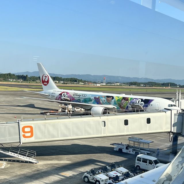 【鹿児島】無事に着陸出来るのか⁉︎ドキドキフライト✈️