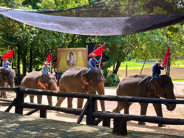 ชมน้องช้าง ที่ศูนย์อนุรักษ์ช้างไทย ลำปาง