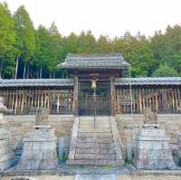 Yasaka Shrine: Centuries Unfolded Grace