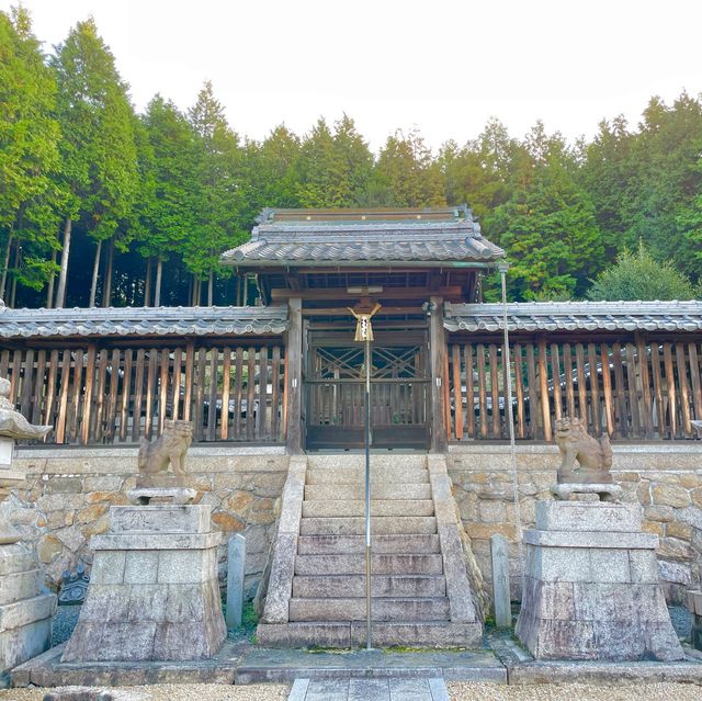 Yasaka Shrine: Centuries Unfolded Grace
