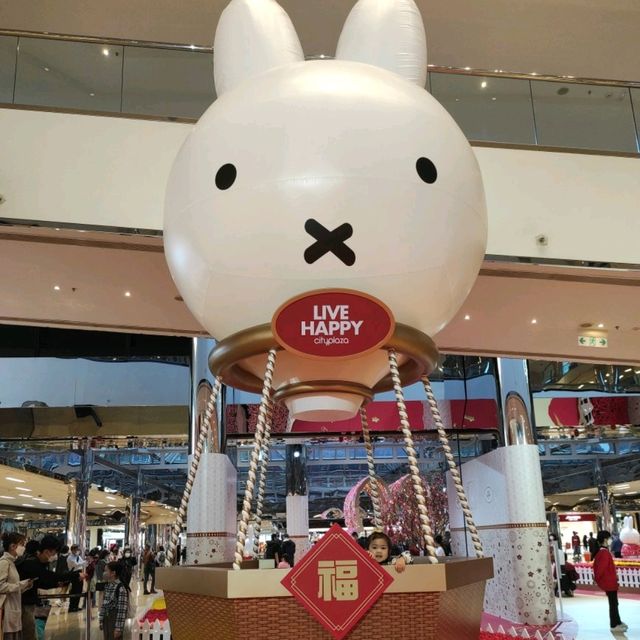 miffy 迷必去打咭