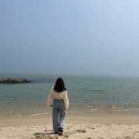 낮과 밤이 예쁜 강문해변