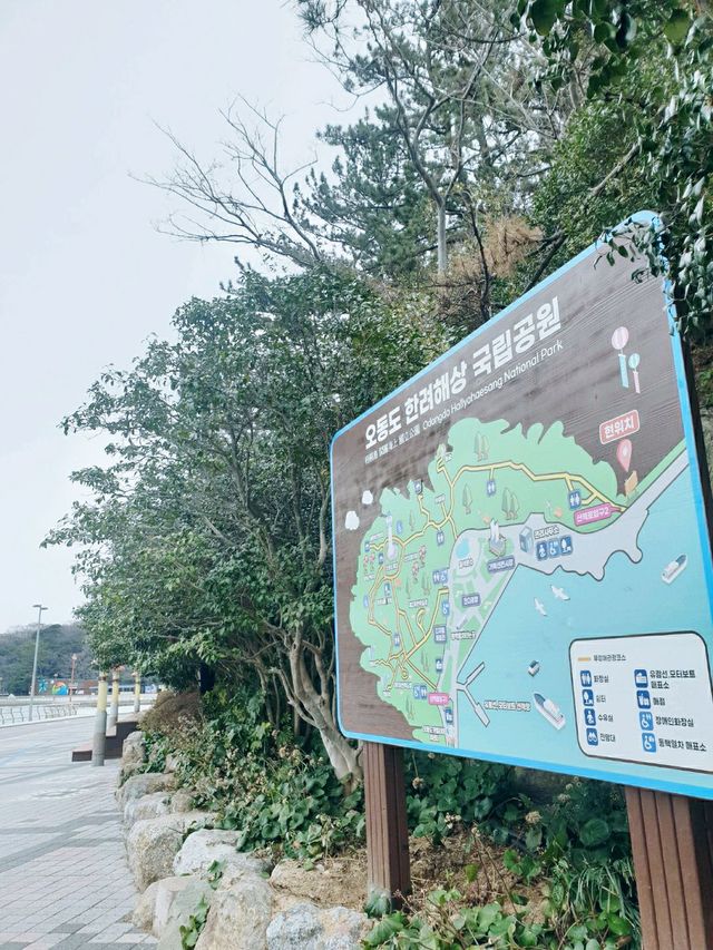 동백섬 오동도 💐
