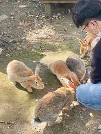 ์ฌ๊ธฐ ๊ฒฝ์ฃผ ๋ง์...?? ๐๐