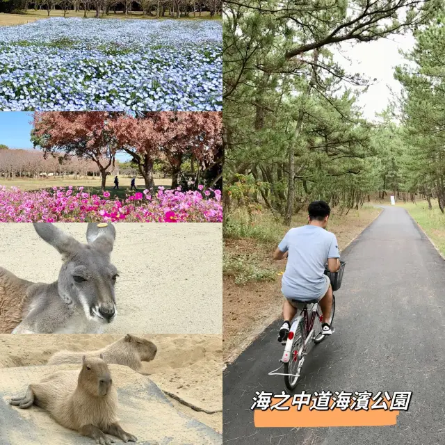 鮮艷嘅花，可愛既動物，舒適嘅公園