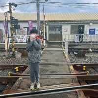 去和歌山探吓貓駅長