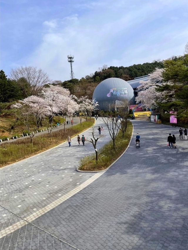 동심의 세계로 과천 가볼만한 곳 ‘서울대공원’  