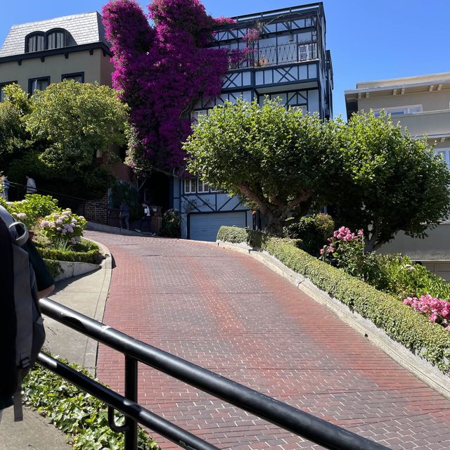 Lombard Street - Zip zap 