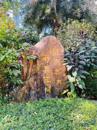 一次過欣賞各色各樣花卉  在市中心盛放📍香港公園