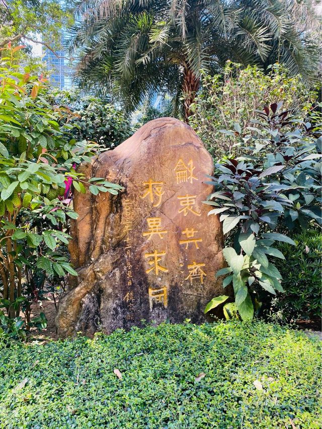 一次過欣賞各色各樣花卉  在市中心盛放📍香港公園