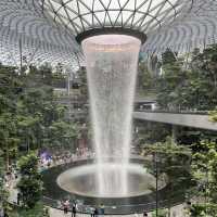 Jewel Changi Airport + Disney 100th