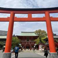 【兵庫】神戸観光で行きたい！生田神社