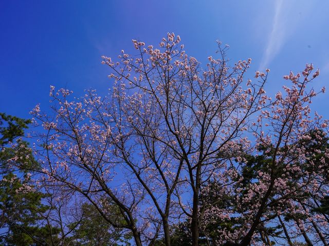 600多年歷史～景福宮