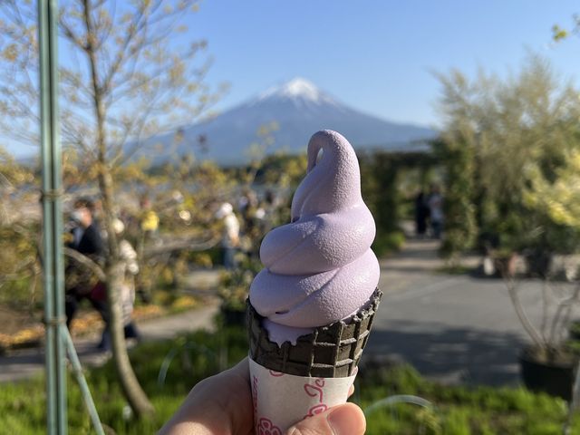 富士山河口湖大石公園｜花卉配上山景、還有網紅冰淇淋可以吃🍦