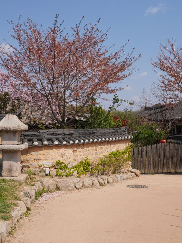 활기찼던 경주의 교촌마을