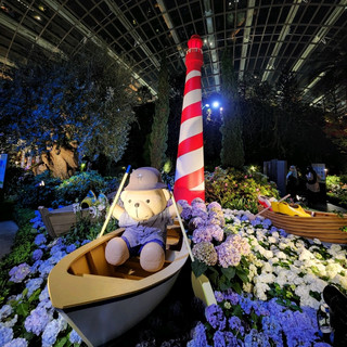 Blossoms under Starlight: Night at Flower Dome
