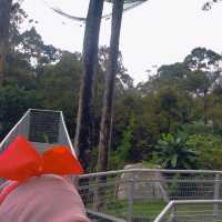 A Stunning 2 acres cafe in Balik Pulau!