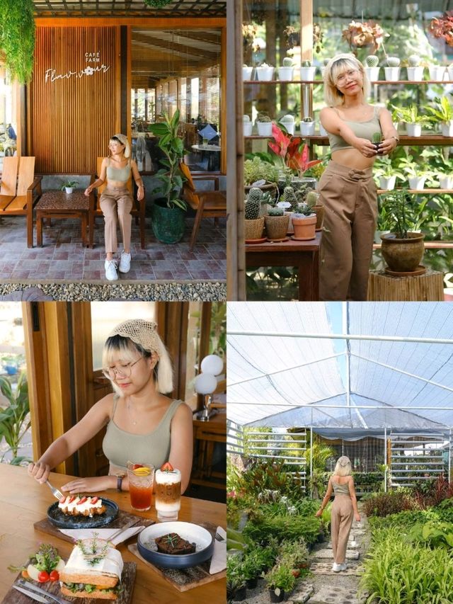 4 คาเฟ่ เชียงใหม่ | สำหรับคนชอบสีเขียว🍃