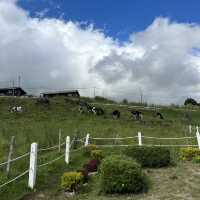 Kundasang Must Visit