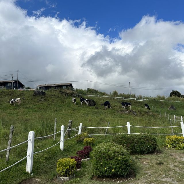 Kundasang Must Visit