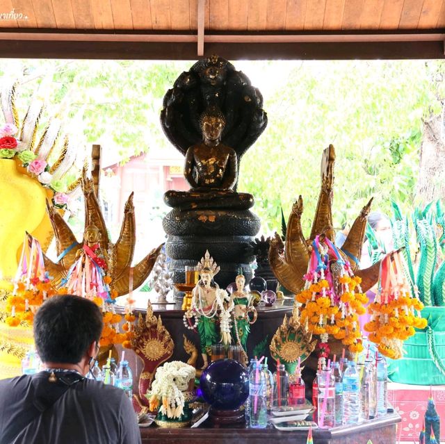 วัดป่าคลอง 11 วัดสวยในปทุมธานี