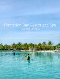 다시 떠나고싶은 휴양지 cebu🏝
