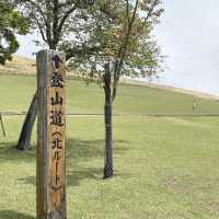 《奈良》鹿と一緒に奈良県を一望できるオススメスポット🐥