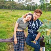 อุทยานแห่งชาติไทรทอง ทุ่งดอกกระเจียว ชัยภูมิ