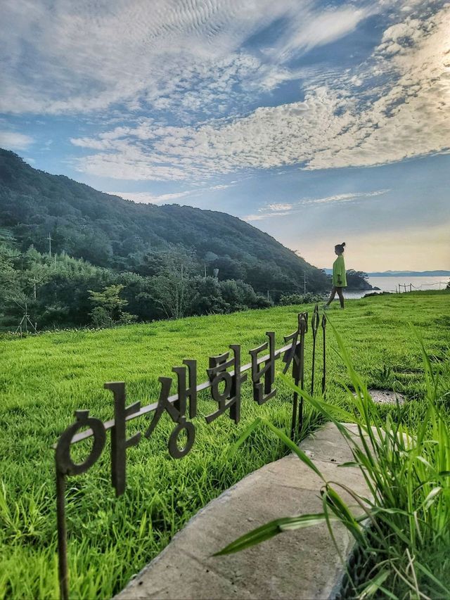 내년 수국시즌이 기대되는 가덕도 야생화단지💚