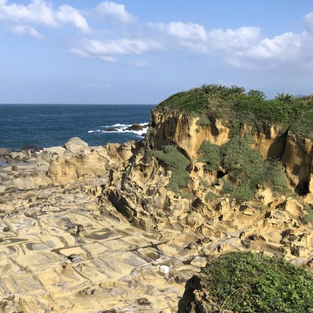 和平島地質公園🖼️基隆的奇幻地質🌋