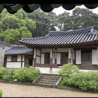 비 오는 날의 오죽헌 산책
