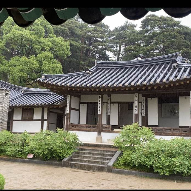 비 오는 날의 오죽헌 산책