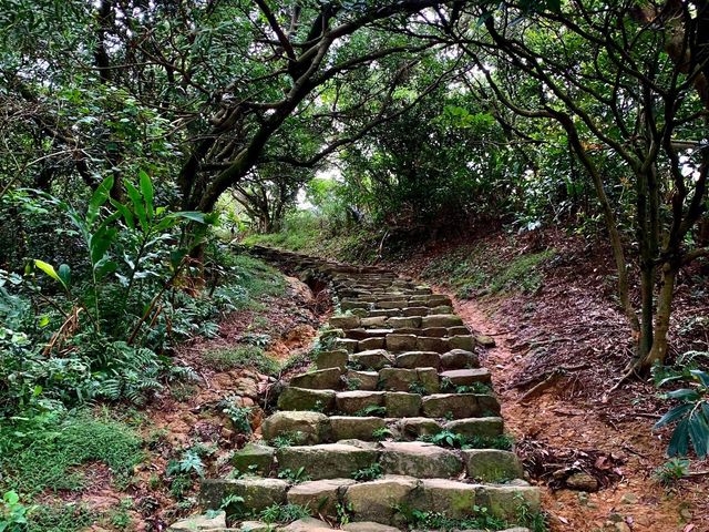 無死角的山海美景｜新北南子吝步道美景，一定要去💕