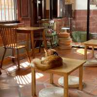 Celebrating Malaysia's Heritage with Cats