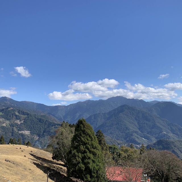 清境農場一日遊：山青水秀的自然樂園