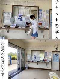 久高島の行き方🚢
