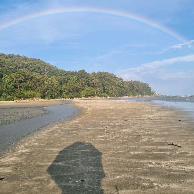 Clean sandy beach with sea creatures