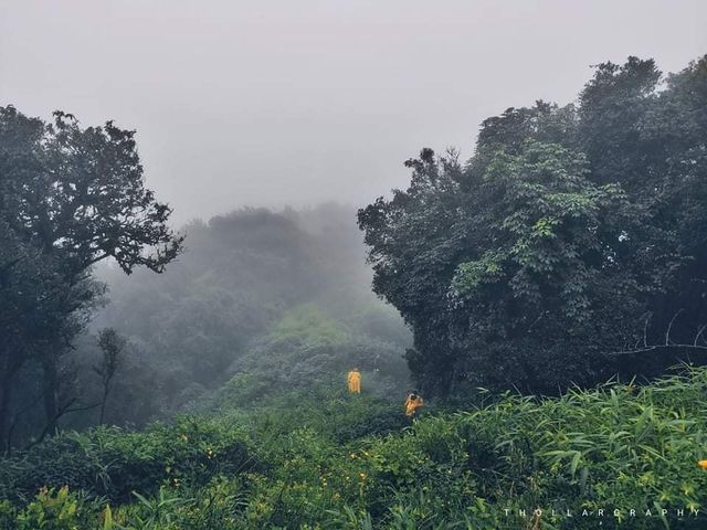 Mount LoiMi Trek: A Journey through Shan State