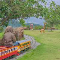 นั่งรถไฟจิ๋ว ชมวิวเขาค้อ